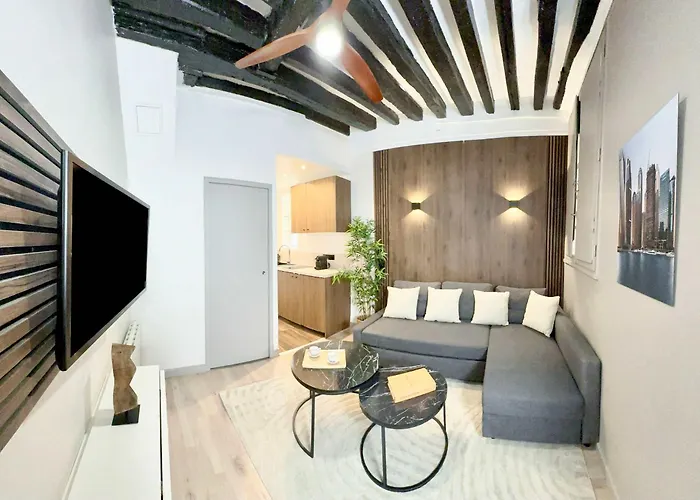 Charming Studio Near The Louvre Museum